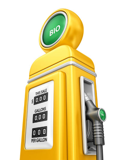 Converting to Biodiesel